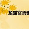 龍貓宮崎駿（關于龍貓宮崎駿的介紹）
