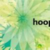 hoop（關于hoop的介紹）