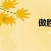 傲勝（關于傲勝的介紹）