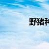 野豬種（關于野豬種的介紹）