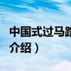 中國式過馬路戰歌（關于中國式過馬路戰歌的介紹）