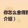 你怎么舍得我難過（關于你怎么舍得我難過的介紹）
