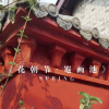 崇州賞花節邂逅春日花神，罨畫池畔同陸游共度花朝