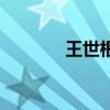 王世根（關于王世根的介紹）