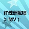許魏洲獻唱《青茫》推廣曲（《向著光亮那方》MV）