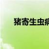 豬寄生蟲病（關于豬寄生蟲病的介紹）