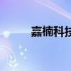 嘉楠科技（關于嘉楠科技的介紹）