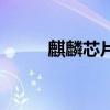 麒麟芯片（關于麒麟芯片的介紹）