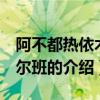 阿不都熱依木 庫爾班（關于阿不都熱依木 庫爾班的介紹）