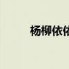 楊柳依依（關于楊柳依依的介紹）