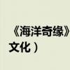 《海洋奇緣》推周邊主題服裝（被批詆毀傳統文化）