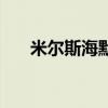 米爾斯海默（關于米爾斯海默的介紹）