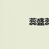 蕊盛蕊（關于蕊盛蕊的介紹）