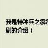 我是特種兵之霹靂火電視劇（關于我是特種兵之霹靂火電視劇的介紹）