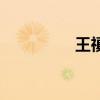 王禛（關于王禛的介紹）