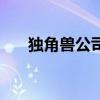 獨角獸公司（關于獨角獸公司的介紹）