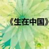 《生在中國》花絮（攝影師穿熊貓裝蹲點）