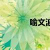 喻文波（關于喻文波的介紹）