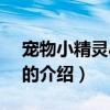 寵物小精靈ag189（關于寵物小精靈ag189的介紹）