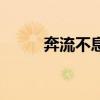 奔流不息（關于奔流不息的介紹）