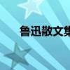 魯迅散文集（關于魯迅散文集的介紹）