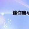 迷你寶馬（關于迷你寶馬的介紹）