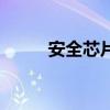 安全芯片（關于安全芯片的介紹）