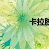卡拉膠（關于卡拉膠的介紹）
