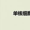 單核細胞（關于單核細胞的介紹）