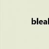 bleak（關于bleak的介紹）