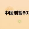 中國刑警803（關于中國刑警803的介紹）