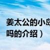 姜太公的小島好玩嗎（關于姜太公的小島好玩嗎的介紹）
