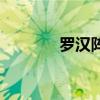 羅漢陣（關于羅漢陣的介紹）