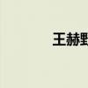 王赫野（關于王赫野的介紹）