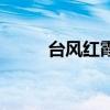 臺風紅霞（關于臺風紅霞的介紹）