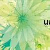 ua（關于ua的介紹）