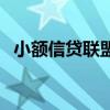 小額信貸聯盟（關于小額信貸聯盟的介紹）