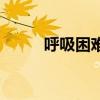 呼吸困難（關于呼吸困難的介紹）