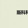 斯科科（關于斯科科的介紹）