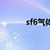 sf6氣體（關于sf6氣體的介紹）