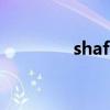 shaft（關于shaft的介紹）