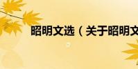 昭明文選(關于昭明文選的介紹)