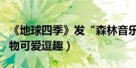 《地球四季》發“森林音樂會”預告(呆萌動物可愛逗趣)