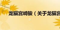 龍貓宮崎駿(關于龍貓宮崎駿的介紹)