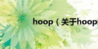 hoop(關于hoop的介紹)