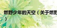 燃野少年的天空(關于燃野少年的天空的介紹)
