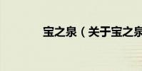 寶之泉(關于寶之泉的介紹)