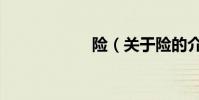 險(關于險的介紹)
