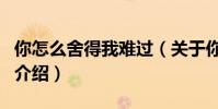 你怎么舍得我難過(關于你怎么舍得我難過的介紹)