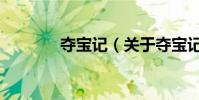 奪寶記(關于奪寶記的介紹)